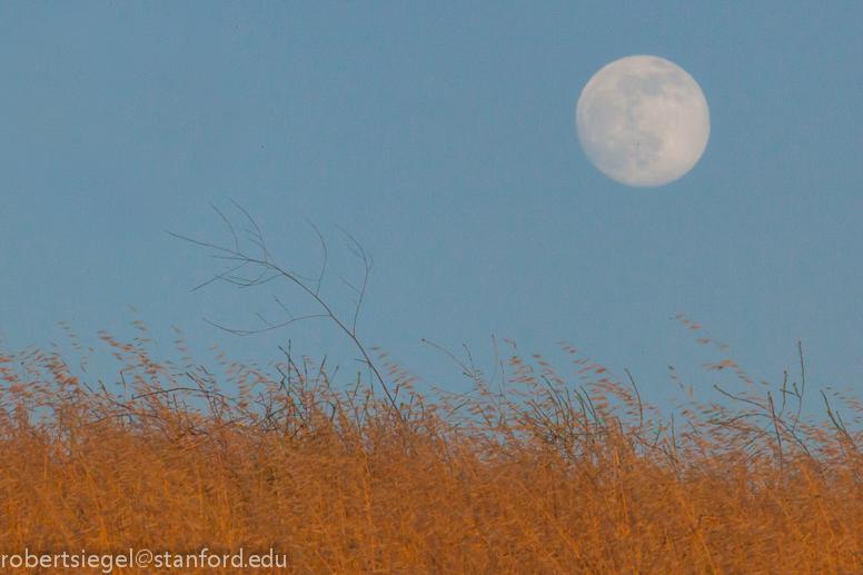 full moon rise